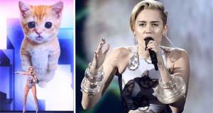 بالصور: مايلي سايرس غنّت مع القطّة وتأثرّت في حفل الـ American Music Awards