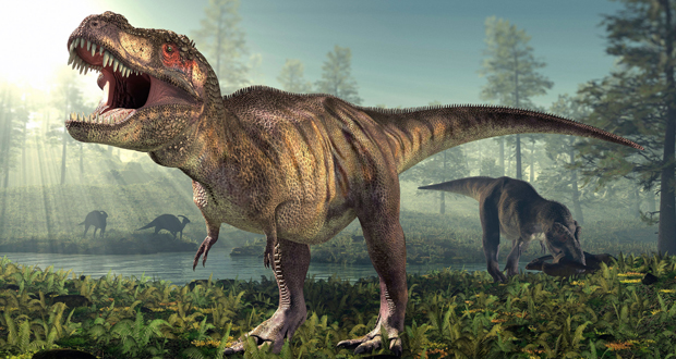 العثور على بيض ديناصور نادر.. عمره 145 مليون سنة!
