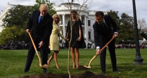 “موت” شجرة الصداقة بين ترامب وماكرون في البيت الأبيض