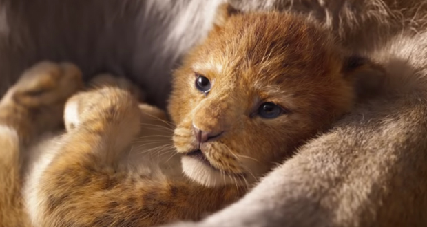 إيرادات مرتفعة لفيلم Lion King بنسخته الحية