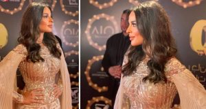 نادين نسيب نجيم تفوز بجائزة “أفضل ممثلة عربية” وترفع اسم لبنان عاليًا