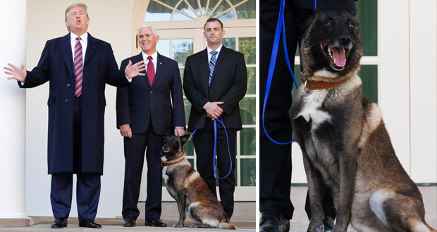 ترامب يكرم الكلب “كونان” في البيت الأبيض بعد عملية البغدادي