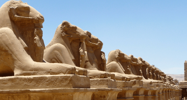مصر تستعد لافتتاح شارع “أبو الهول” .. يعود تاريخه إلى 3 آلاف عام
