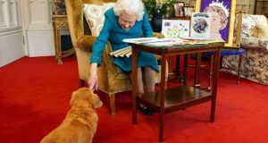 كتاب الملكة يكشف: وزير بريطاني تناول بسكويت مخصصا للكلاب