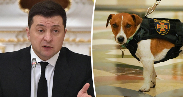 تقديرًا لخدماته الوطنية.. الرئيس الأوكراني يُكرم الكلب “باترون”