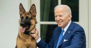 كلب بايدن يهاجم موظفين وعناصر الخدمة السرية في البيت الأبيض
