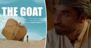مصر.. فيلم The Goat يشارك في أكبر مهرجانات إيطاليا